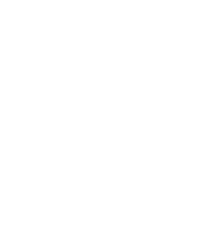advice logo